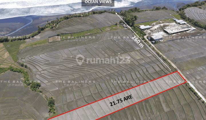 Freehold Land Offering Stunning Ocean And Sunset Views In Tabanan 1