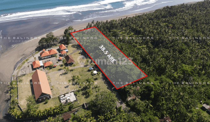 Expansive Freehold Land Offering Sweeping Ocean Vistas 1