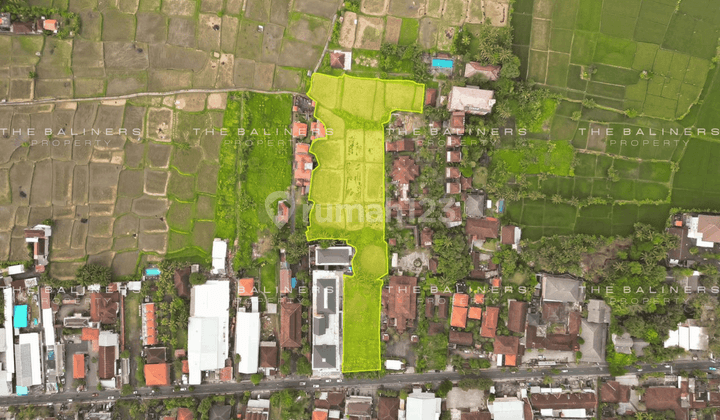 Expansive Land With Rice Field View In Ubud 2