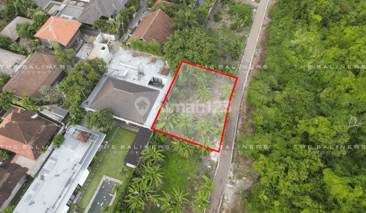 Rare Freehold Land In Seminyak Minutes Drive From The Beach 2