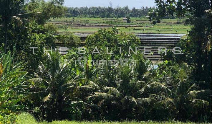 Rare Opportunity Prime Freehold Land In Kelating, Tabanan 1