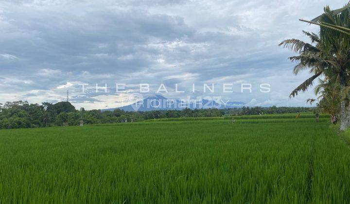 Enchanting Freehold Land Opportunity In Kerambitan, Tabanan 1