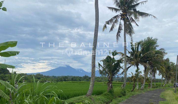 Ideal Investment Opportunity In Kerambitan, Tabanan 1