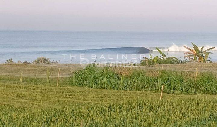 Beachfront Land In Klungkung A Surfer s Paradise 2