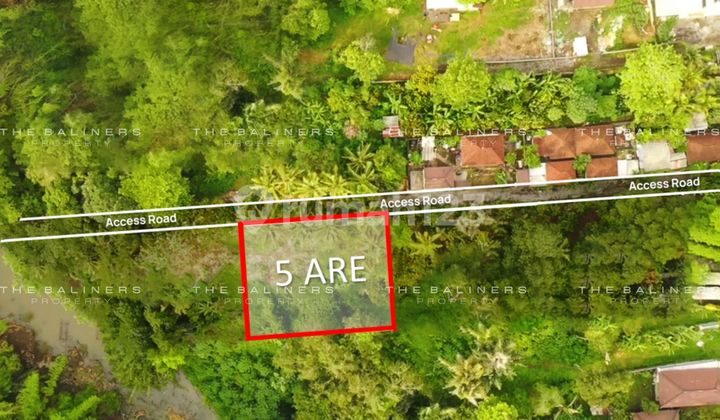Leasehold Residential Land With Jungle And River Views In Buwit, Tabanan
