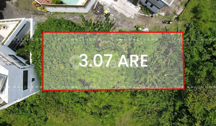 Investment-Scale Freehold Land In Umalas With Strong Access Investment-Scale Freehold Land In Umalas With Strong Access