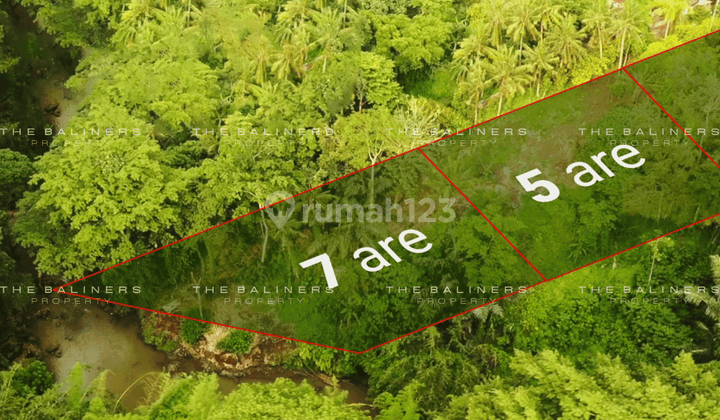 Leasehold Residential Land With Jungle And River Views In Buwit, Tabanan 2