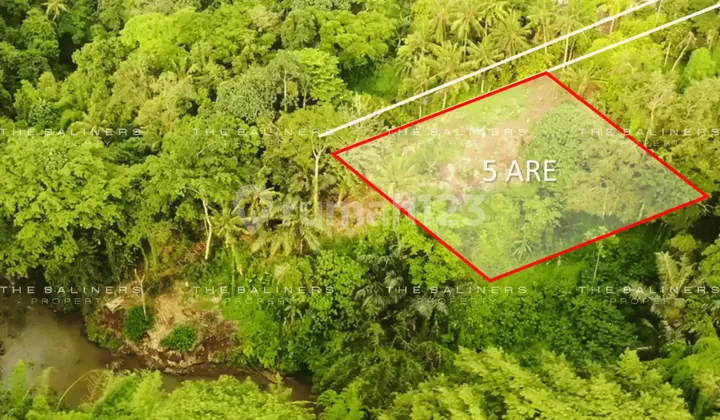 Leasehold Residential Land With Jungle And River Views In Buwit, Tabanan