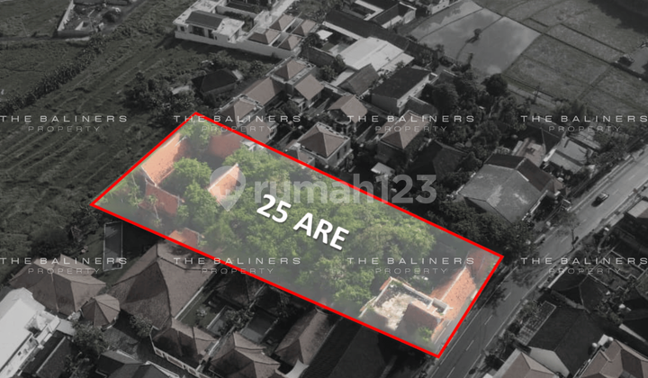 PRIME 25 ARE LAND WITH DEVELOPMENT POTENTIAL IN UMALAS