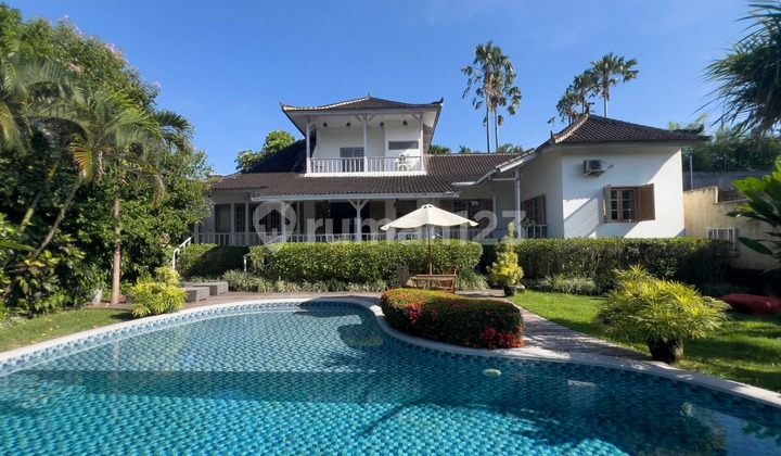 Fresh Tropical Living In Prime Canggu Fresh Tropical Living In Prime Canggu