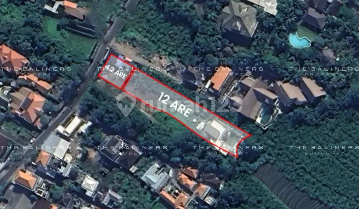Exclusive Commercial Freehold Land in Pererenan Area - High Development Potential