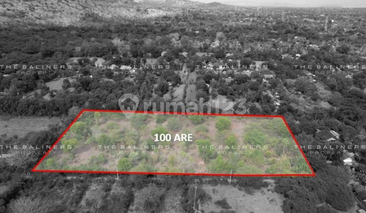 VAST FREEHOLD AGRICULTURAL LAND SURROUNDED BY NATURE IN PEMUTERAN BULELENG VAST FREEHOLD AGRICULTURAL LAND SURROUNDED BY NATURE IN PEMUTERAN BULELENG