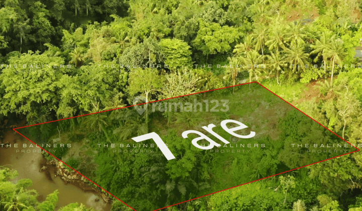 Spacious Residential Land With Jungle And River Views In Buwit, Tabanan 1