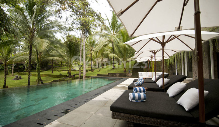 Expansive Villa Oasis In Jembrana Retreat Of Luxury And Leisure