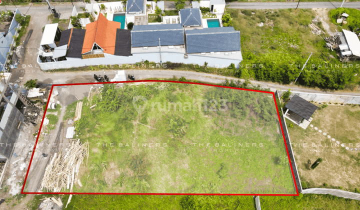 Spacious Land Opportunity In Cemagi, Mengwi 2