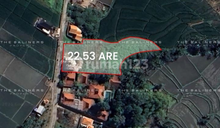 High Potential Freehold Land In Kedungu Near The Beach