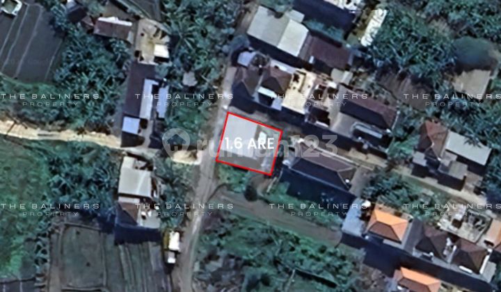 Strategic Corner Freehold Land In Cepaka With Open Rice Field Surroundings