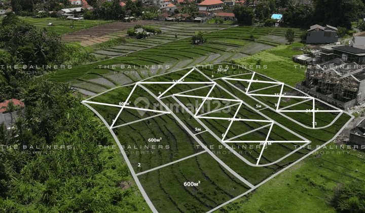 Scenic Leasehold Land Plots In Tumbak Bayuh, Pererenan 2