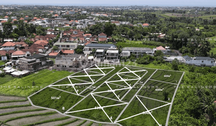 Scenic Leasehold Land Plots In Tumbak Bayuh, Pererenan 1