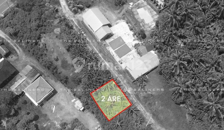 Tabanan Coastal Tourism Area Featuring Walkable Beach Access