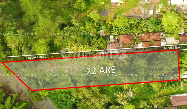 Peaceful River And Jungle View Land In Buwit, Tabanan