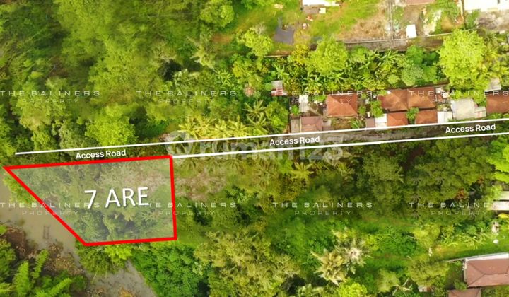 Spacious Residential Land With Jungle And River Views In Buwit, Tabanan