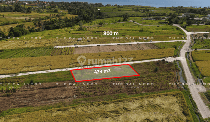 Spacious Land With Rice Field And Sunset Views In Kedungu, Tabanan 2