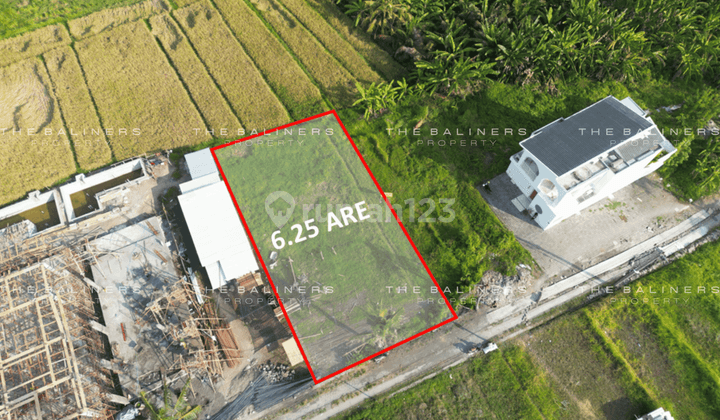 Spacious Leasehold Land Near Pigstone Beach, Tabanan 2