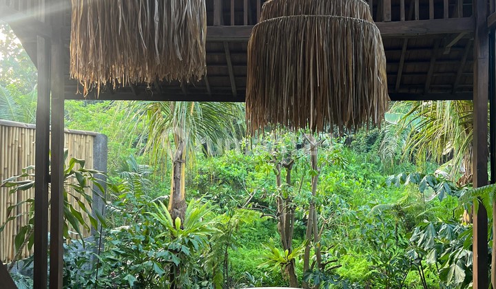 PESONAAN MENAWAN DI TEPI SUNGAI YANG TERPADAM DI HIJAUNYA UBUD