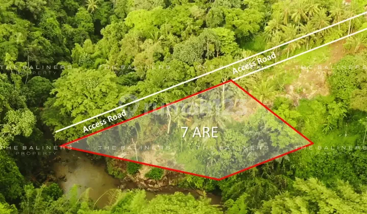 Spacious Residential Land With Jungle And River Views In Buwit, Tabanan