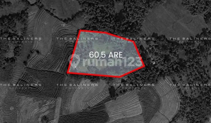 PREMIER COASTAL DEVELOPMENT LAND WITH RICE FIELD PANORAMA IN KELECUNG, TABANAN PREMIER COASTAL DEVELOPMENT LAND WITH RICE FIELD PANORAMA IN KELECUNG, TABANAN