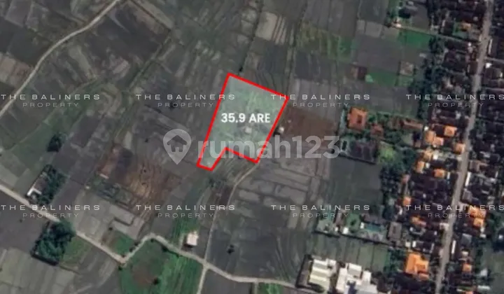 Strategic 35.9 Are Freehold Land In Nyanyi With Sunset And Rice Field Views