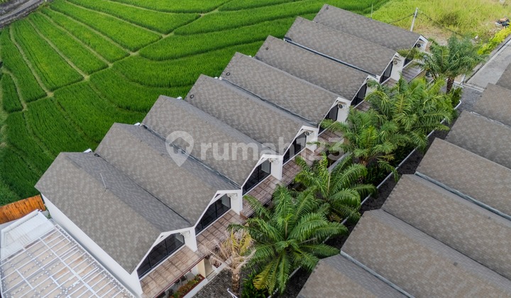 Modern Loft Townhouse In Serene Canggu
