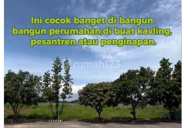 Tanah di Balaraja 17240 m2 bonus bangunan 1