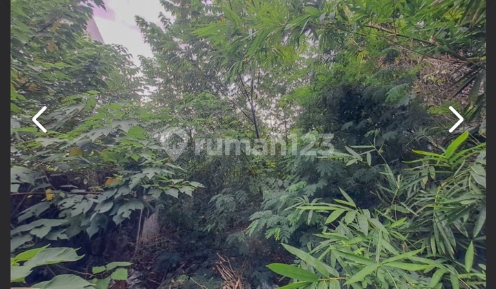Dijual Cepat Tanah Tomang Grogol Petamburan Dekat Taman Anggrek Luas 515 M2 Dijual Cepat Tanah Tomang Grogol Petamburan Dekat Taman Anggrek Luas 515 M2