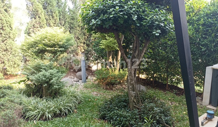 Rumah Disewakan Semi Furnished Suvarna Padma Suvarna Sutera 