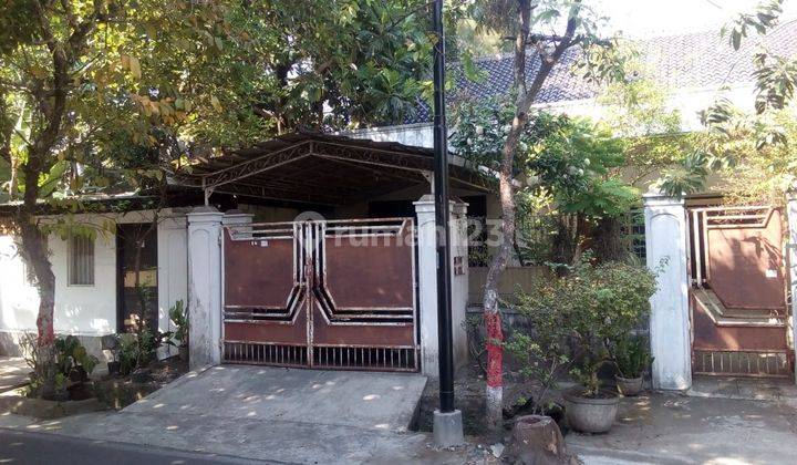 Dijual Rumah + Rumah Burung Walet Bagus SHM di Purwodadi 1