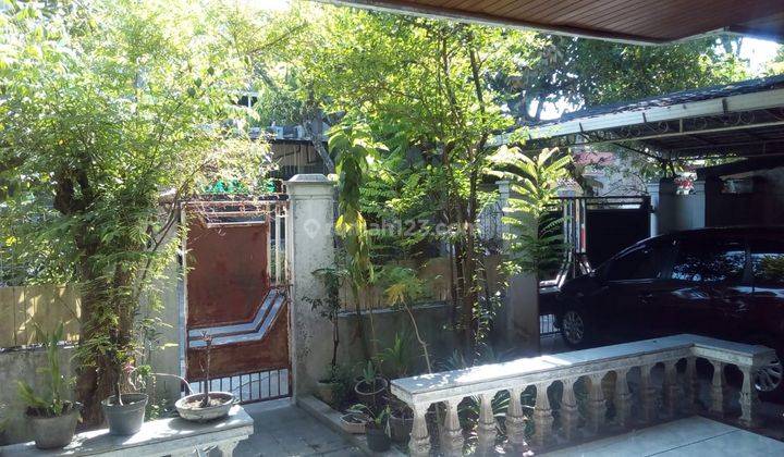 Dijual Rumah + Rumah Burung Walet Bagus SHM di Purwodadi 2