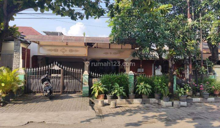 Dijual Rumah di Badak Raya Semarang SHM Bagus Hadap Utara 1