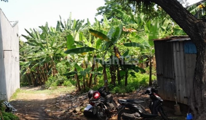 Tanah Strategis Siap Pakai di Walisongo Mangkang Semarang Tanah Strategis Siap Pakai di Walisongo Mangkang Semarang