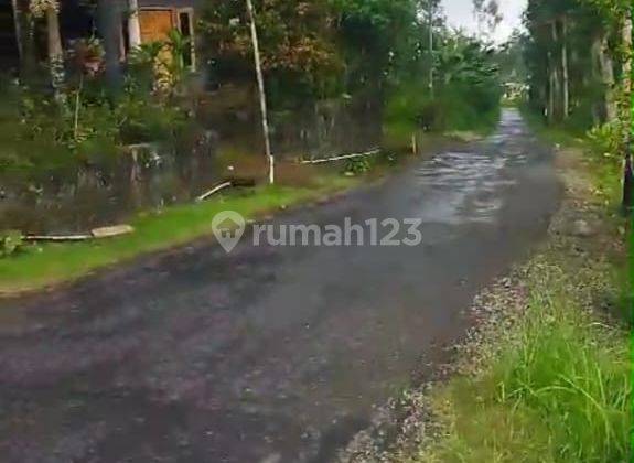 Tanah Lahan Perkebunan Strategis Ngadirojo Boyolali 2