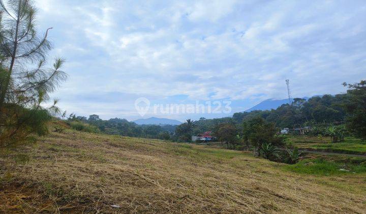 Tanah Kontur Cisarua Puncak Bogor Cocok Untuk Villa 2