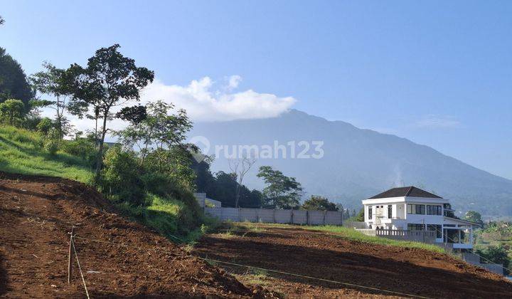 TANAH MURAH SHM KAVLING SULTAN PUNCAK MEGAMENDUNG  1