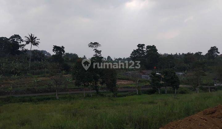 jual tanah kavling murah luasan 200M² dikawasan puncak  2