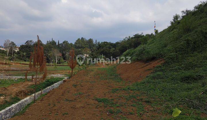 Jual Tanah Kavling 300m² Di Kawasan Puncak Bogor 2