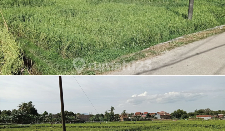 Dijual Kavling Jl. Margagiri, Kramatwatu, Serang, 1.312m², Ajb Dijual Kavling Jl. Margagiri, Kramatwatu, Serang, 1.312m², Ajb