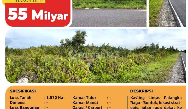 Kavling Lintas Palangkaraya Buntok, Kalimantan Tengah, 1.570 Ha, Sppt 2