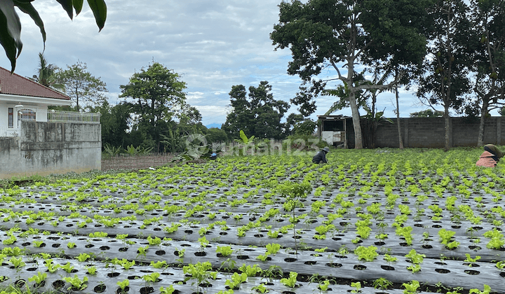 Tanah Siap Bangun, Sayap Setiabudi Bandung Utara 2