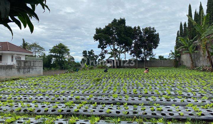 Tanah Siap Bangun, Sayap Setiabudi Bandung Utara 1