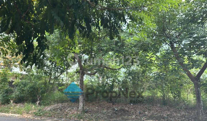 2 Unit Kavling Bisa Rendeng Sukajadi Batam 2 Unit Kavling Bisa Rendeng Sukajadi Batam